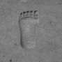 Henrik Brahe || Foot. Hitite Tempel. Ain Dara. Ca. 1000BC. Syria. 2006 || ©