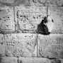 Henrik Brahe || Iraq 2016. Cuneiform script || ©