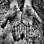 Henrik Brahe || Iraq 2017. Rania. Tell Golek Excavation. Dirty hands. "Arch Hands" || ©
